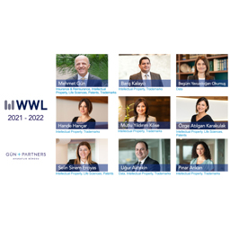 Congratulations to Our Lawyers Recognized by WWL