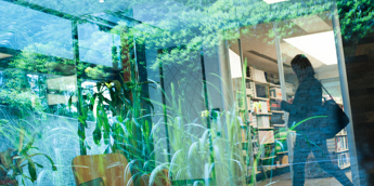 Corporate and Commercial