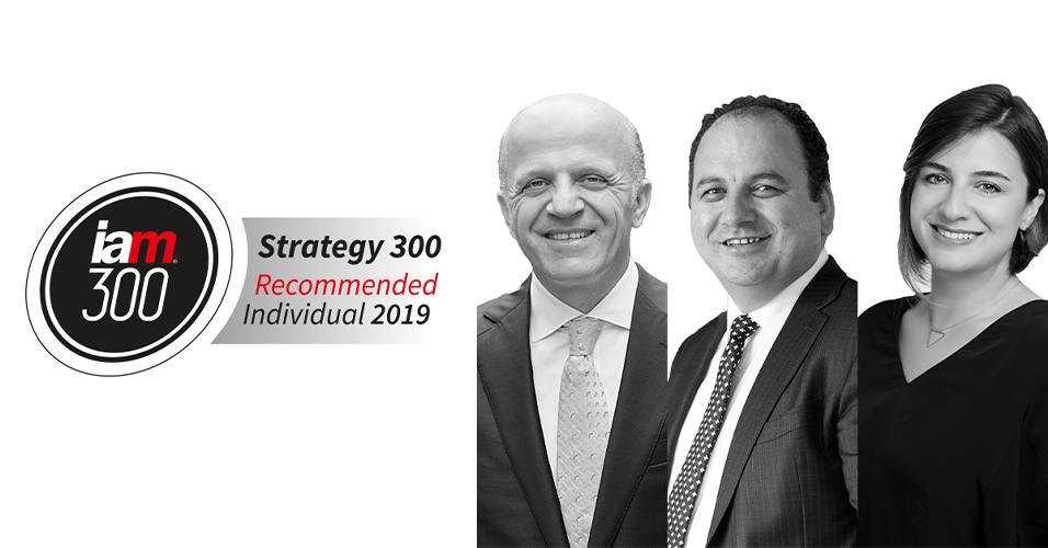 IAM Strategy 300 - 2019