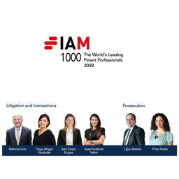 Gün + Partners Top Ranked by IAM Patent 1000
