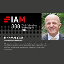 IAM Strategy 300: The World’s Leading IP Strategists 2023