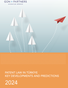 Patent Law in Türkiye Key Developments and Predictions - 2024