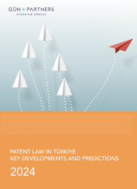 Patent Law in Türkiye Key Developments and Predictions - 2024