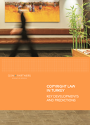 Copyright Law in Turkey Key Development and Predictions 2021