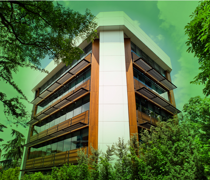 Environment and Sustainability