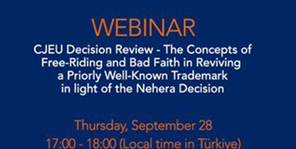 Webinar: CJEU Decision Review