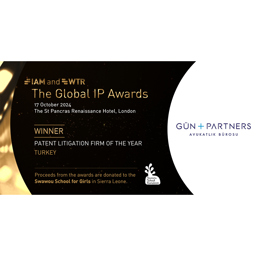 We Have Been Selected as the “Patent Litigation Firm of the Year” in Turkey by Global IP Awards 2024