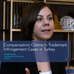 Compensation Claims in Trademark Infringement Cases in Turkey