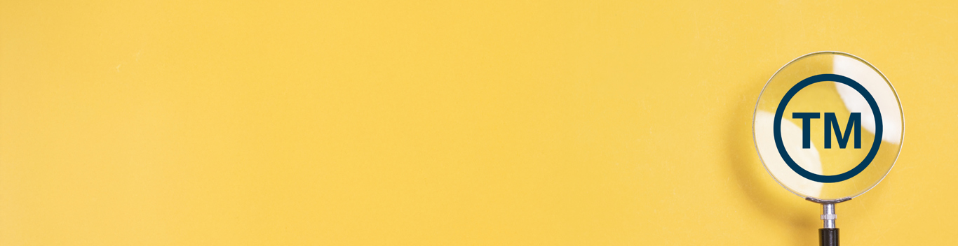 Trademark Law in Türkiye Key Developments and Predictions - 2025