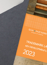 Trademark Law in Turkey Key Developments and Predictions - 2023