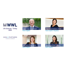 Our Lawyers Recognized in the Who's Who Legal: Life Sciences 2024