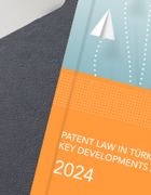 Türkiye'de Patent Hukuku Alanında Önemli Gelişmeler ve Öngörüler - 2024