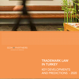 Key Developments and Predictions for Trademark Law in Turkey
