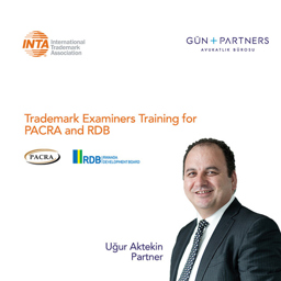 Uğur Aktekin Spoke on Trademark Protection at INTA Training