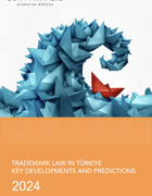 Türkiye'de Marka Hukuku Önemli Gelişmeler ve Öngörüler - 2024
