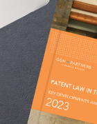 Türkiye'de Patent Hukuku Alanında Önemli Gelişmeler ve Öngörüler - 2023