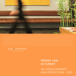 Key Developments and Predictions for Patent Law in Turkey